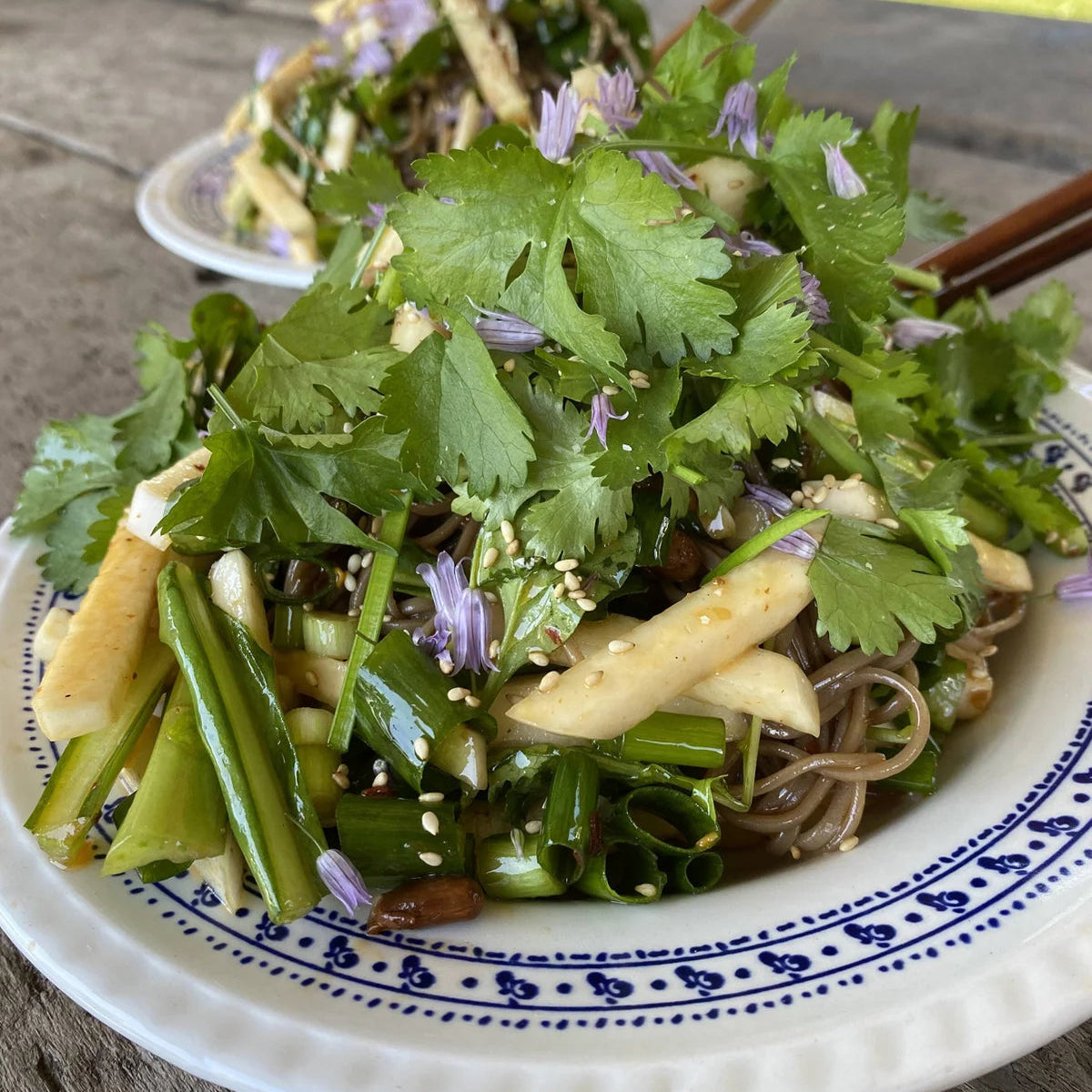 SPRING SOBA SALAD