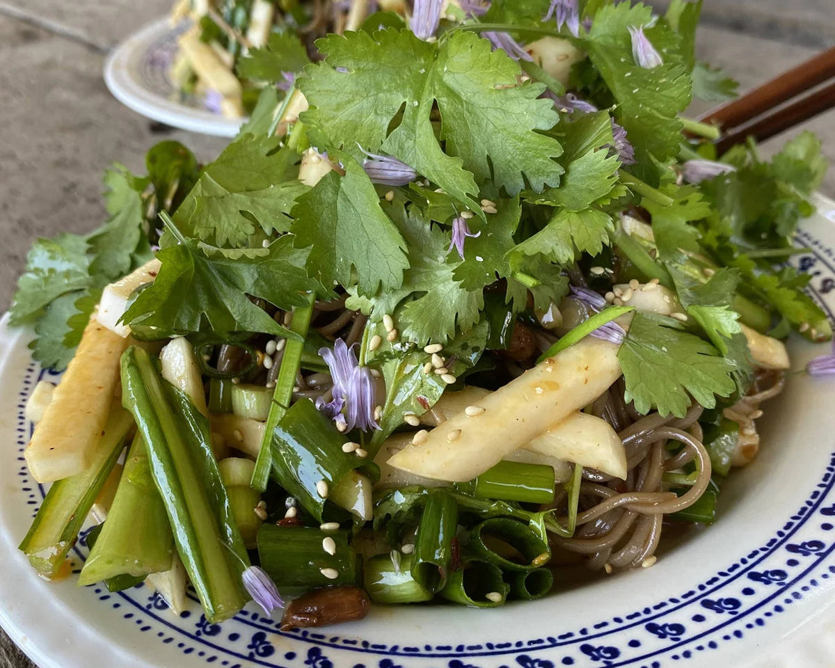 SPRING SOBA SALAD