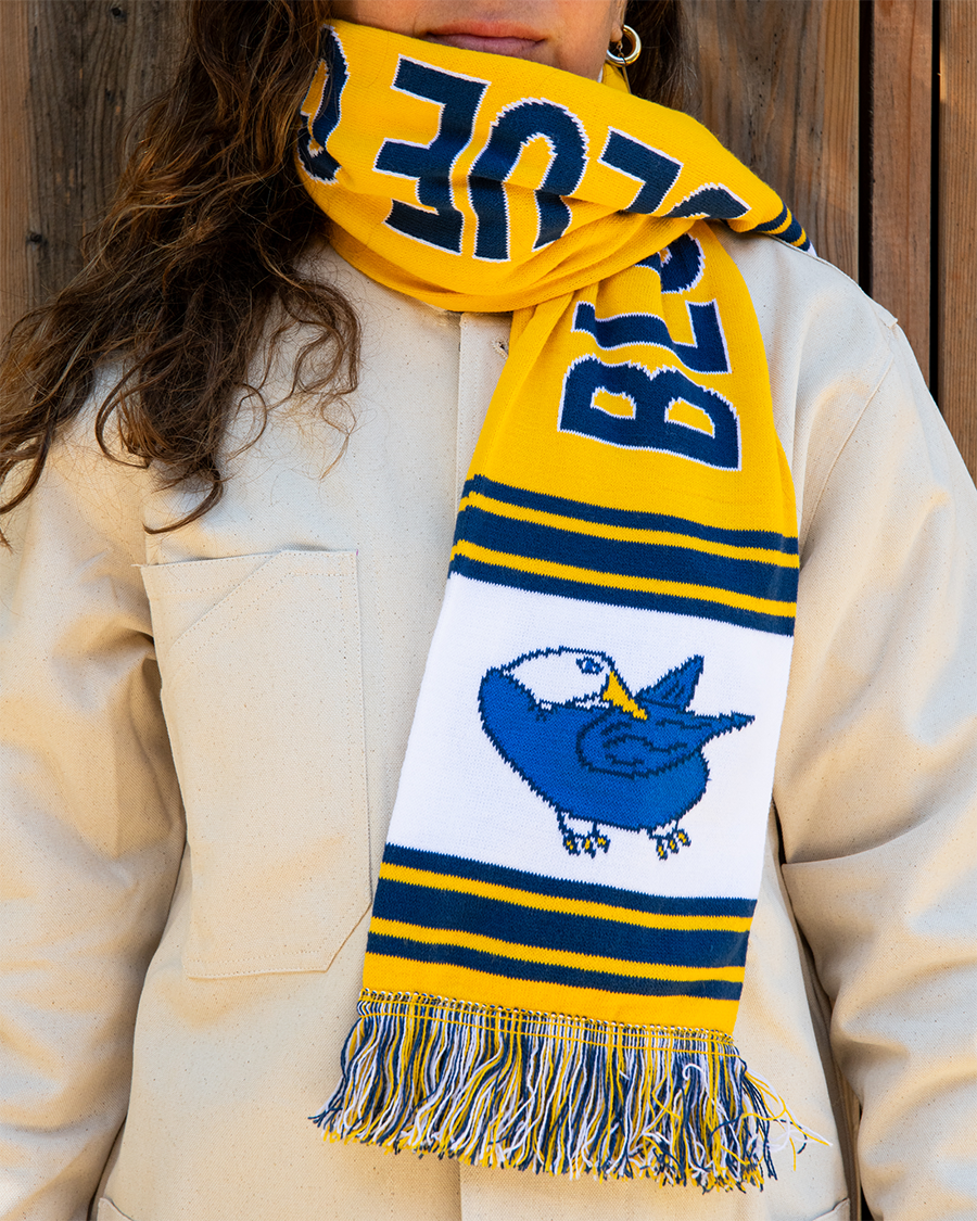 BGF_Scarf_Person.png