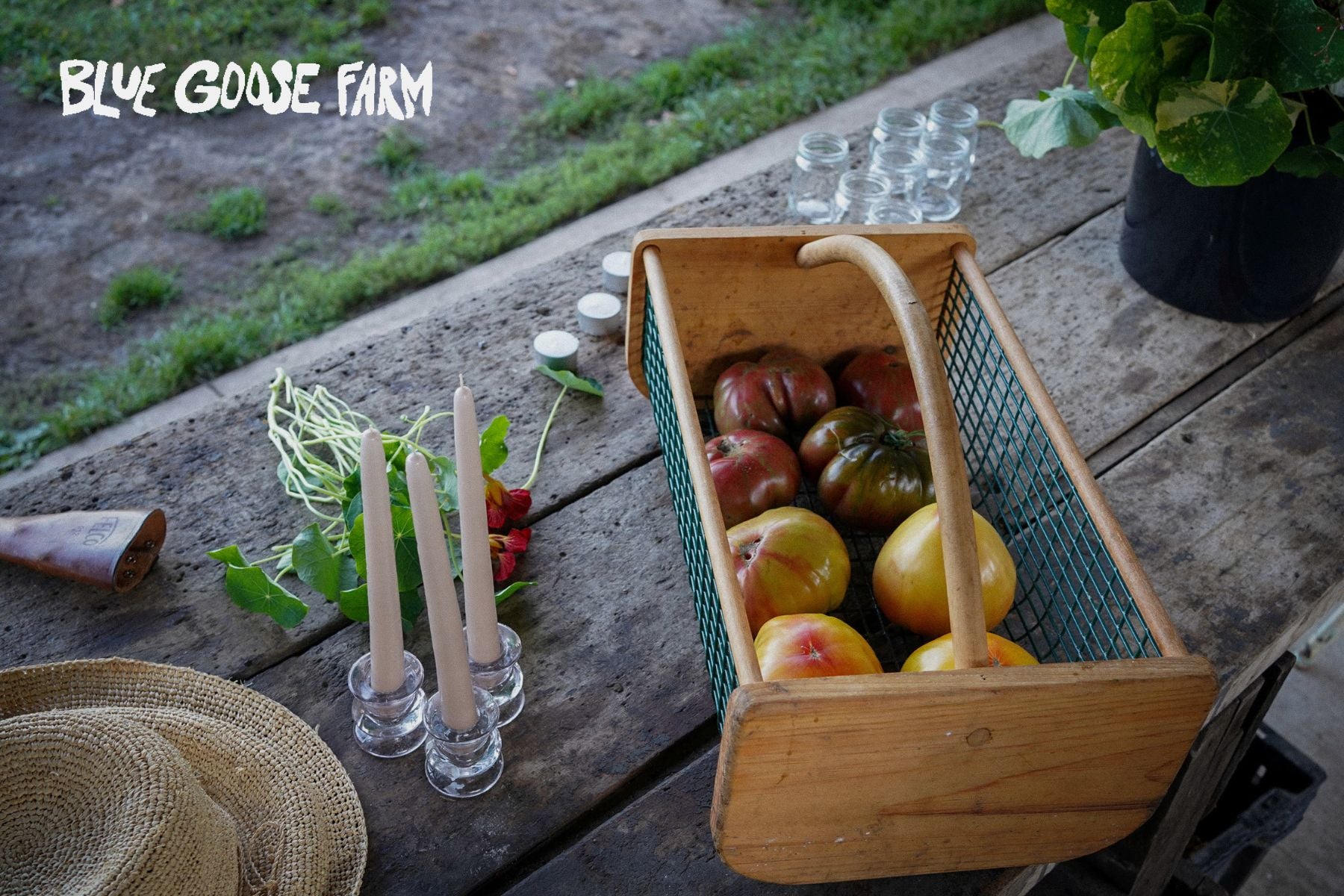 Blue Goose Farm Gift Card