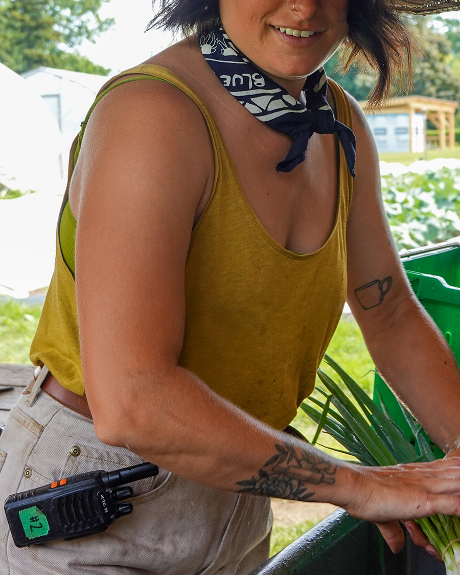 Blue Goose Bandana