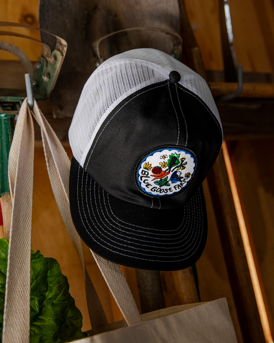 BlueGooseCirclePatchHat.png