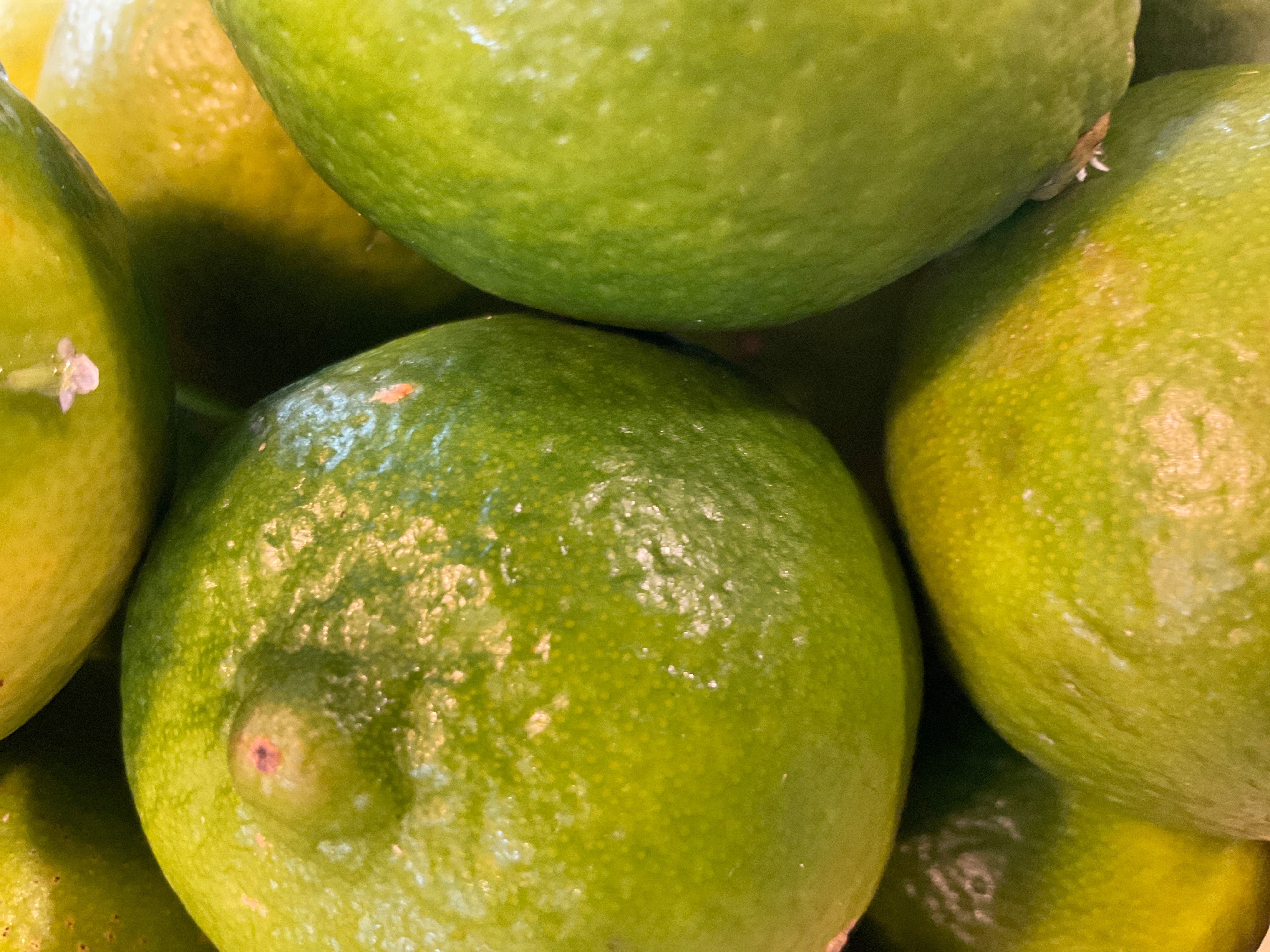 Limes