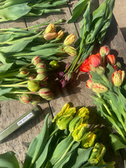 Specialty Tulip Bunches