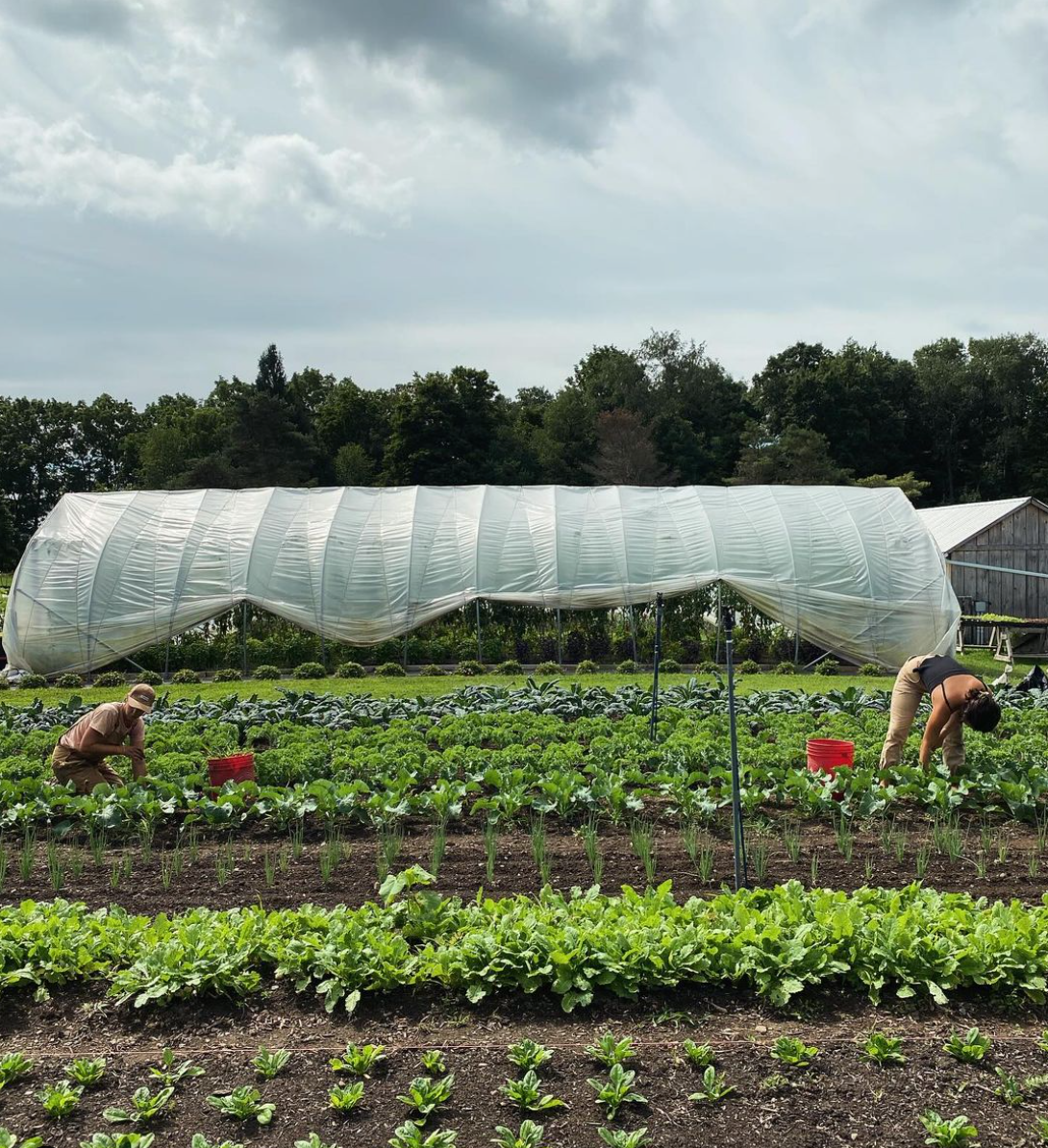 Farm Hands (Full + Part-Time)