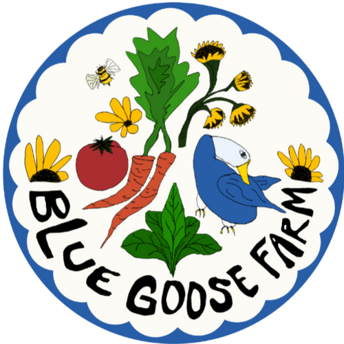 Blue Goose Farm