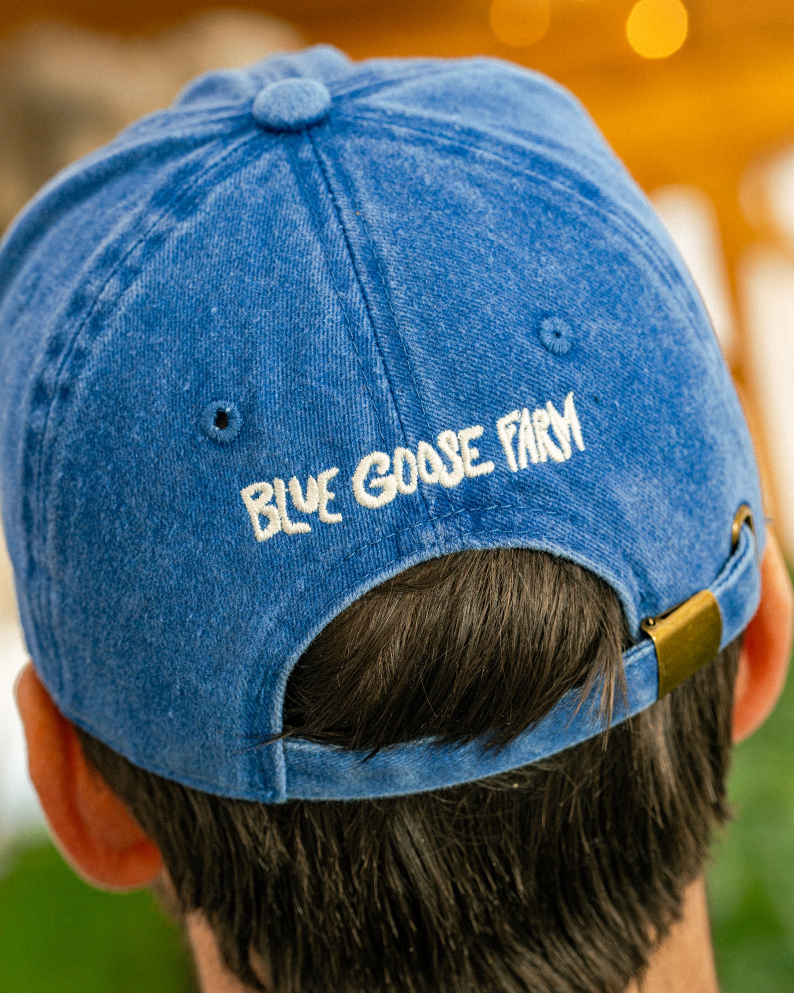 Blue Goose Farm Cap