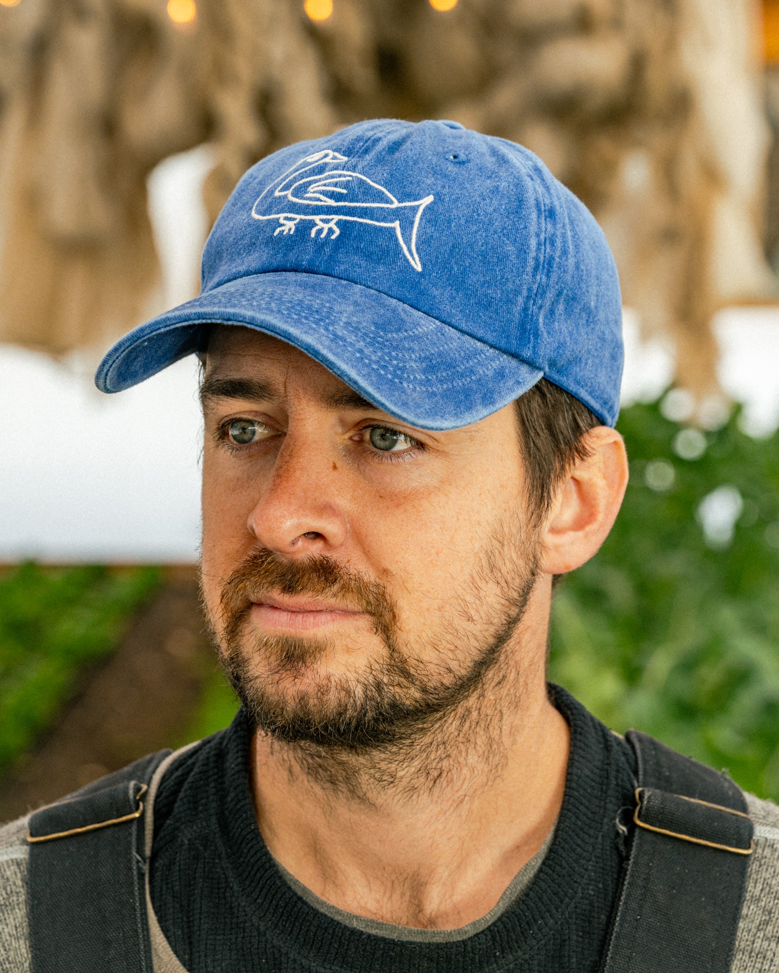 Blue Goose Farm Cap