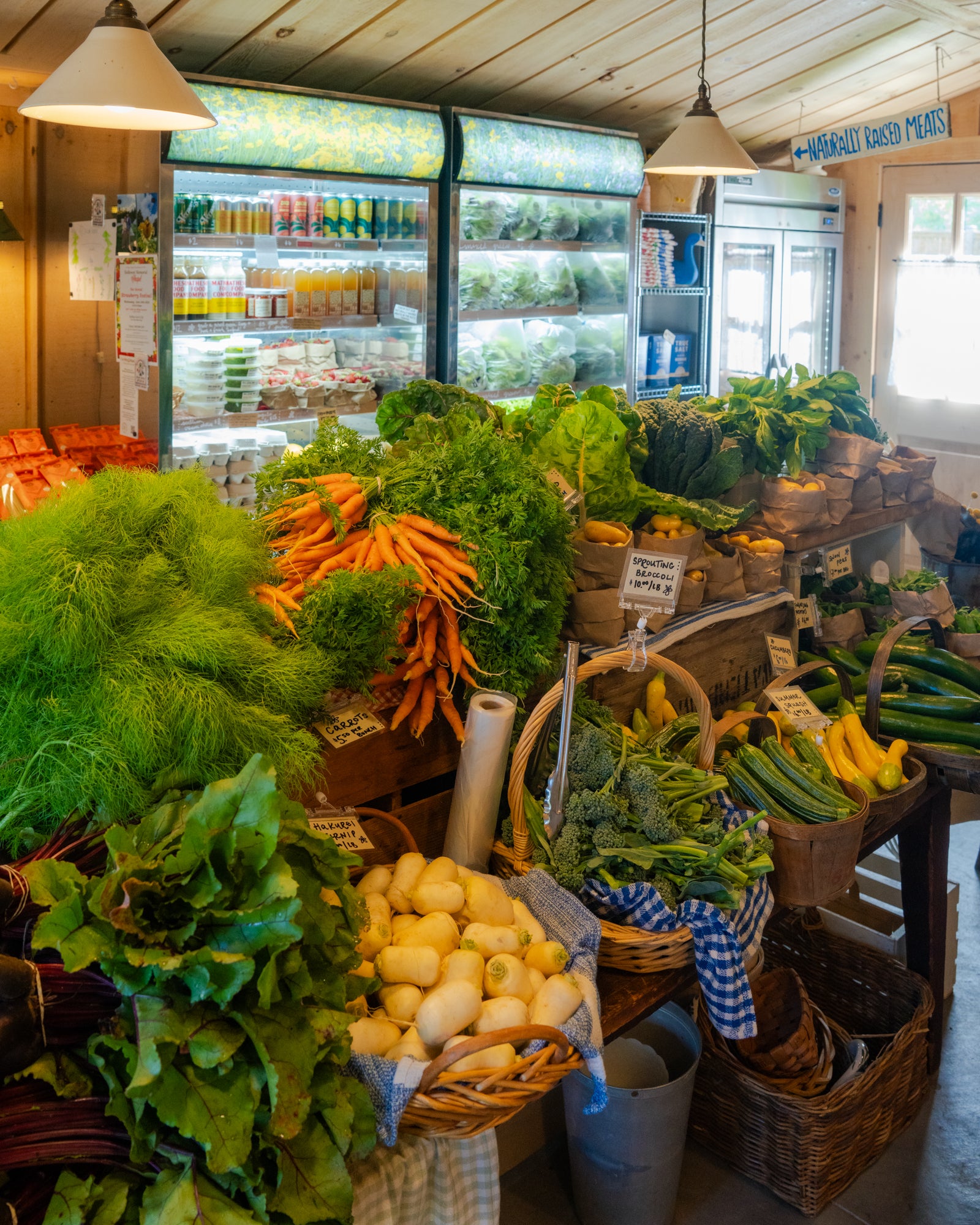 Over 250 Varieties